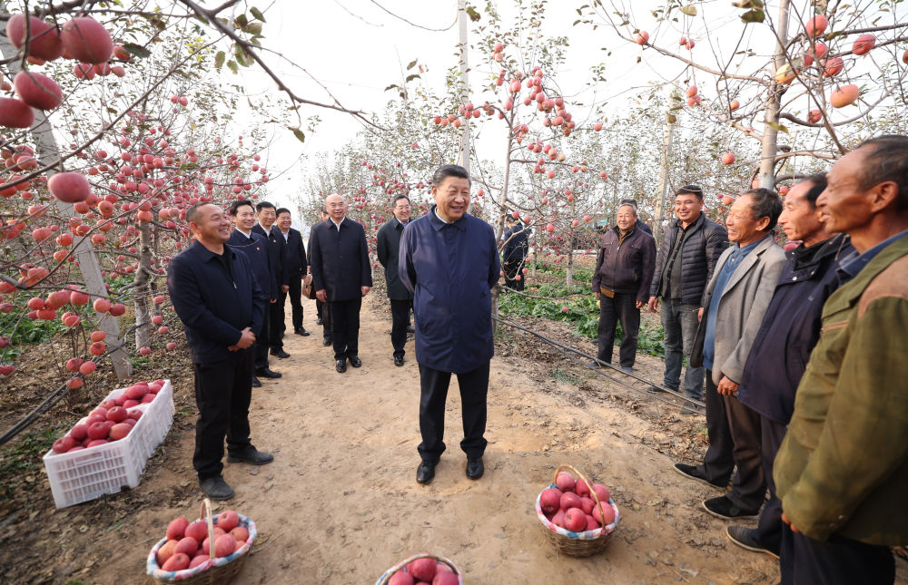 2022年10月26日，习近平在陕西省延安市安塞区高桥镇南沟村苹果园同老乡们亲切交流。