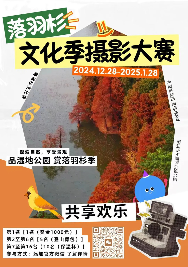 20241228-原创稿件-2-6.jpg