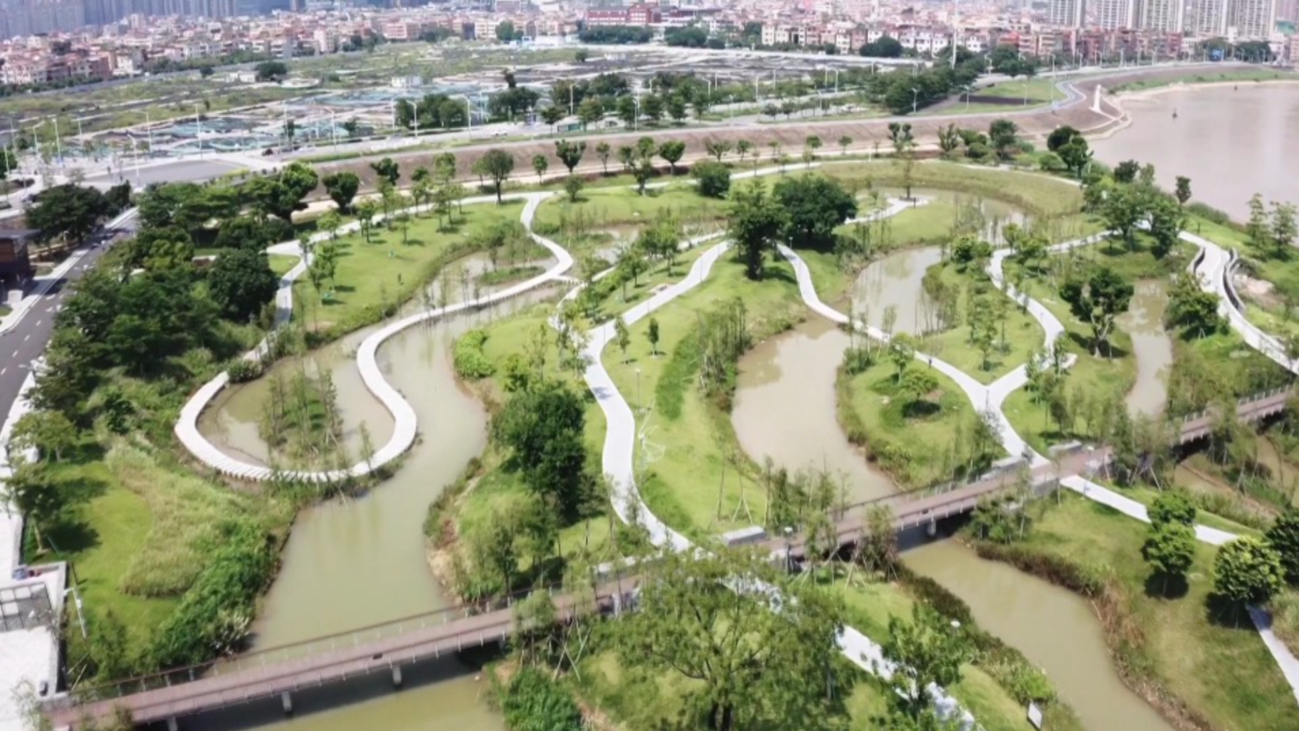 Green and beautiful Guangdong: Riverbank greenway in Guicheng, Foshan