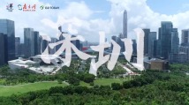 来深圳,过大年! 来深圳,过大年!