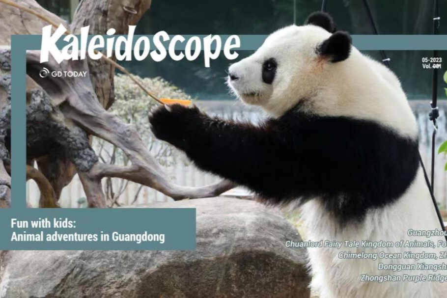 Fun with kids: Animal adventures in Guangdong