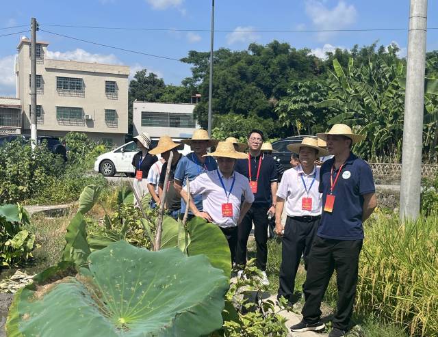 △7月12日，韶关市武江区人大常委会组织人大代表调研蔬菜种植基地。  