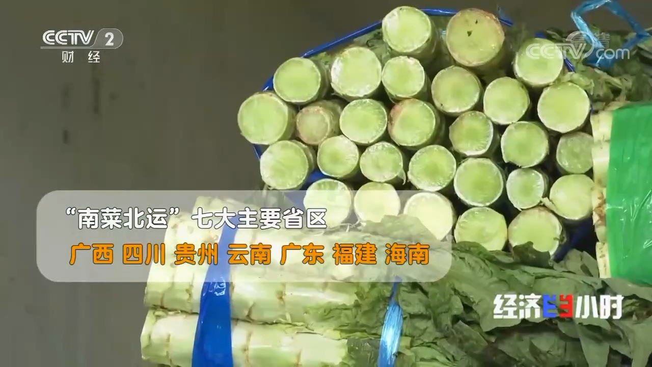 “南菜北运”：稳住“菜篮子”鼓了“钱袋子”