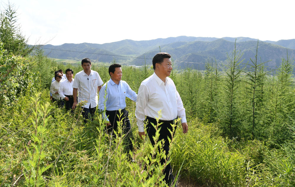 2019年7月15日，习近平在内蒙古赤峰市喀喇沁旗马鞍山林场林区，沿着崎岖的护林小道察看林木长势。