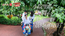 小院里的“大舞台”,来了一群“荔枝研究生” 小院里的“大舞台”,来了一群“荔枝研究生”