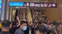 人从众!第十九届文博会开幕 网友:羡慕现场观众 人从众!第十九届文博会开幕 网友:羡慕现场观众