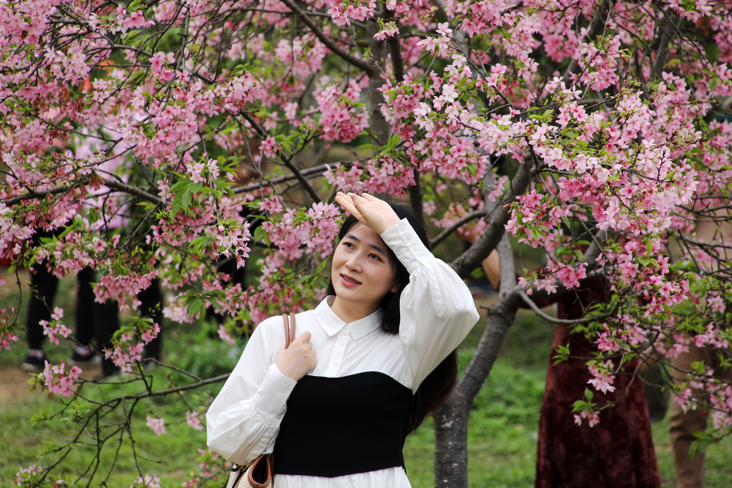 Guangzhou to build itself a zero-waste city by 2025