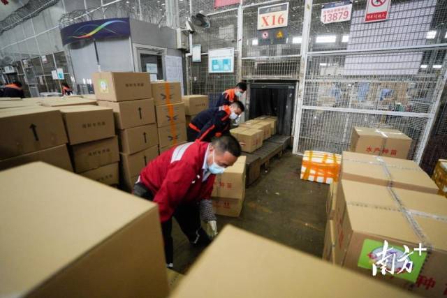 4月20日15时30分,虾苗登机前安检。 4月20日15时30分,虾苗登机前安检。