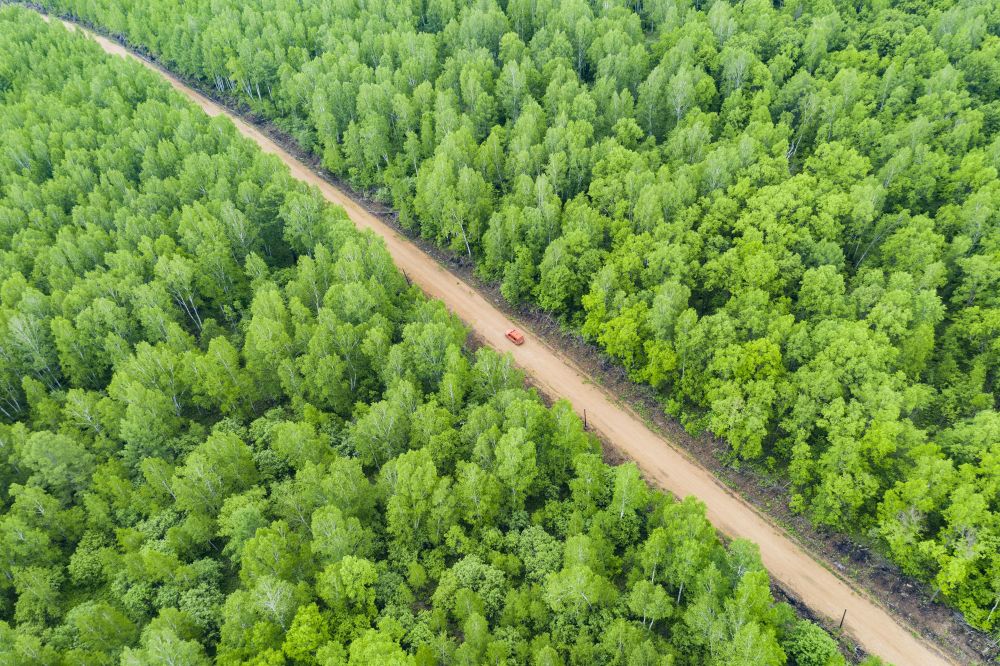 　　↑2021年6月4日，在伊春森工乌伊岭林业局有限责任公司阿廷河林场分公司施业区，护林员驾车进行森林巡护（无人机照片）。