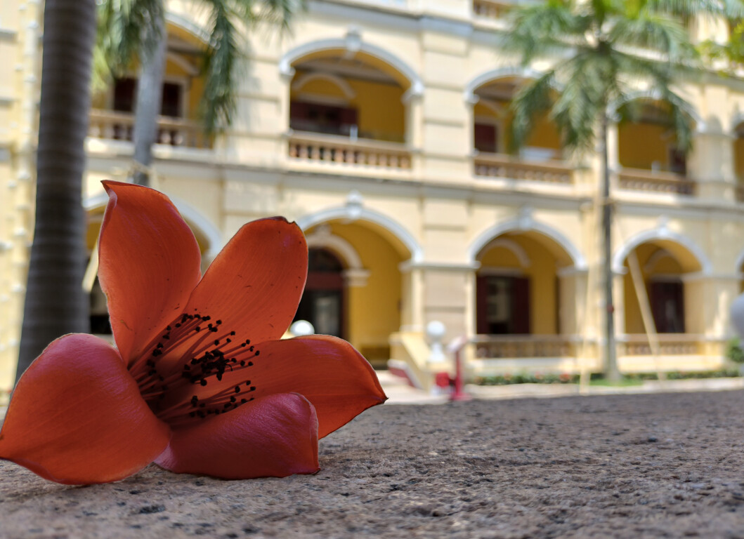 周星馳監製動繪《好猴王》將登岸Netflix 估計2023年上線