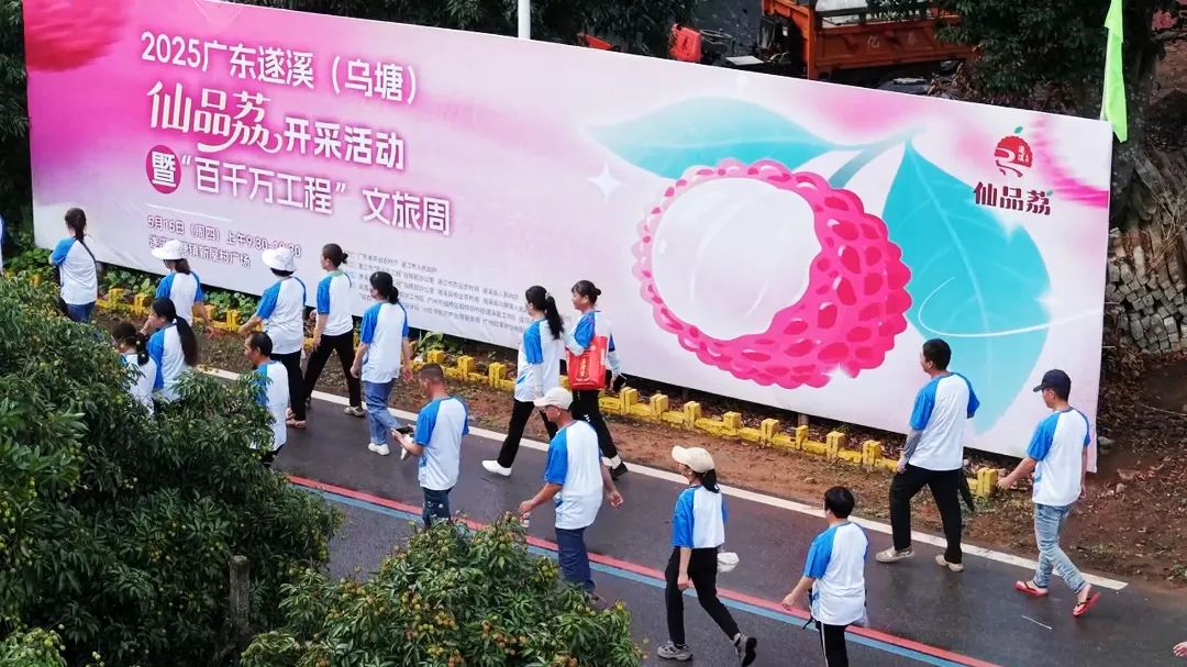 在荔林间穿梭徒步1.jpg