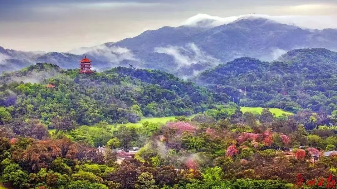 Traffic restrictions around scenic areas in Guangzhou during the Double Ninth Festival