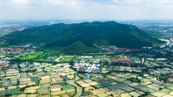 台风“韦帕”即将登陆！佛山多个文旅体场所关停