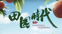共绘乡村振兴新篇章,电影《田园时代》将于10月12日上映 共绘乡村振兴新篇章,电影《田园时代》将于10月12日上映