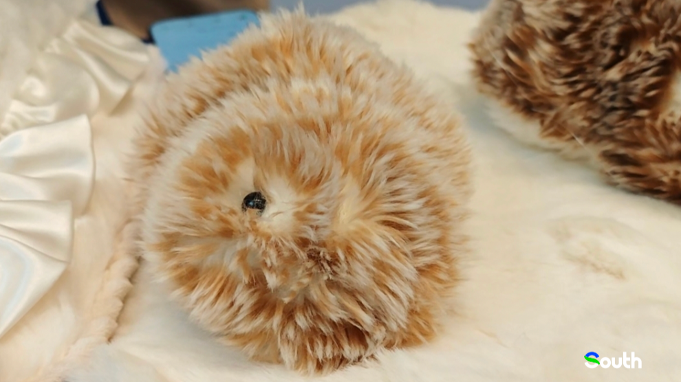 Fluffy AI pets showcased at Pazhou Algorithm Competition in Guangzhou