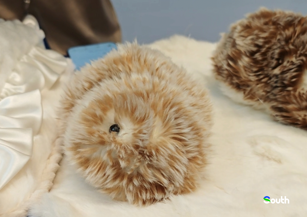 Fluffy AI Pets Lito 南方+ 马艺天 拍摄