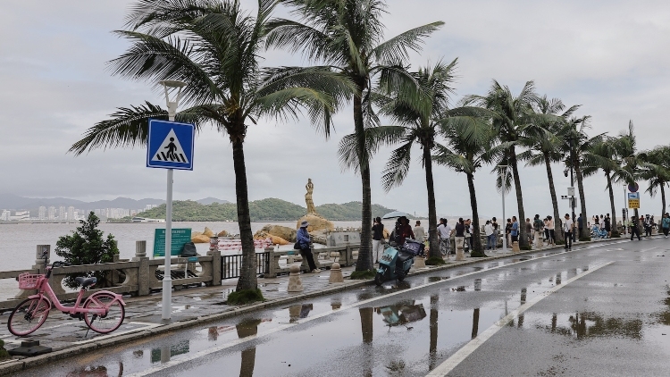 “桦加沙”过境后，珠海情侣路市民游客又多了起来｜一线直击