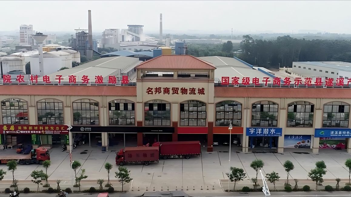 广东省县城新型城镇化典型案例：湛江市遂溪县“五链同构” 打造百亿级食品产业集群