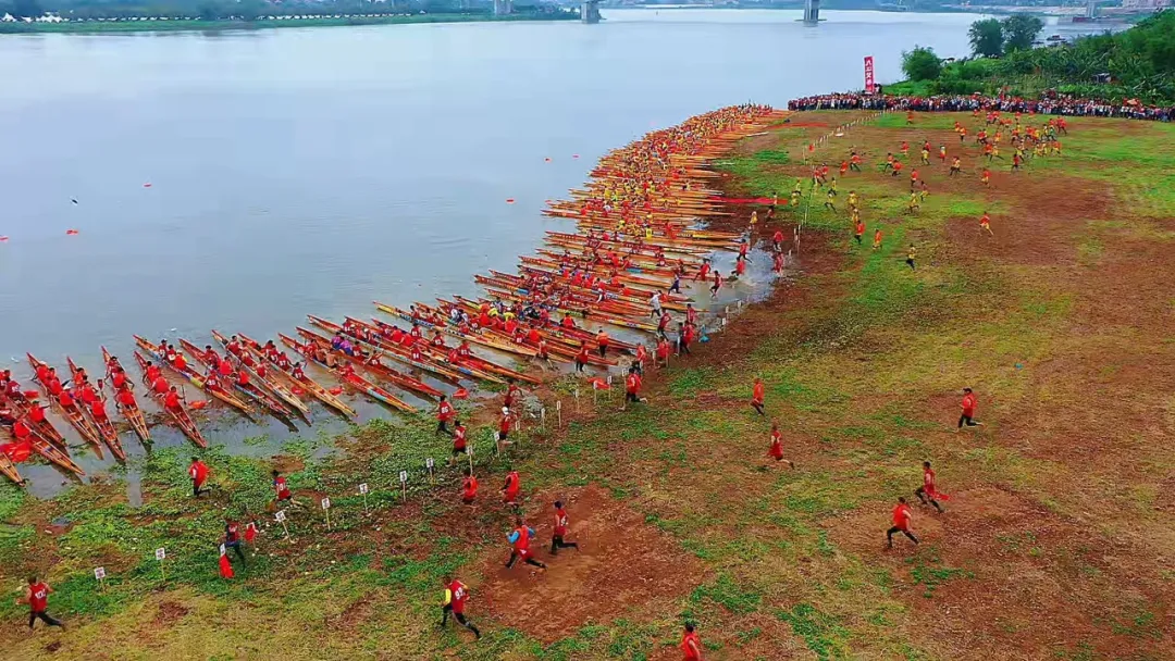 Impressive dragon boat racing in China's Foshan