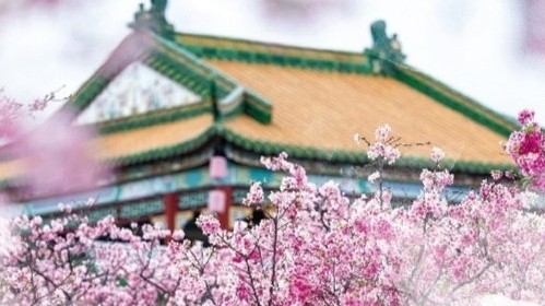 554万人次！广州“五一”假期乡村游客接待量占全市总量近半