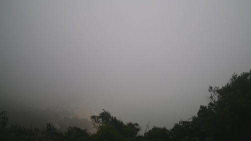 提醒！明日广东局地有暴雨或雾，这些路段将受影响