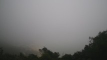 提醒!明日广东局地有暴雨或雾,这些路段将受影响 提醒!明日广东局地有暴雨或雾,这些路段将受影响