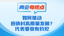 两会粤视点④|如何推动县镇村高质量发展?代表委员有灼见 两会粤视点④|如何推动县镇村高质量发展?代表委员有灼见