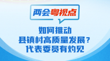 两会粤视点④｜如何推动县镇村高质量发展？代表委员有灼见