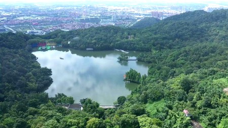 【广东印记】一座火山成就的旷世佳作