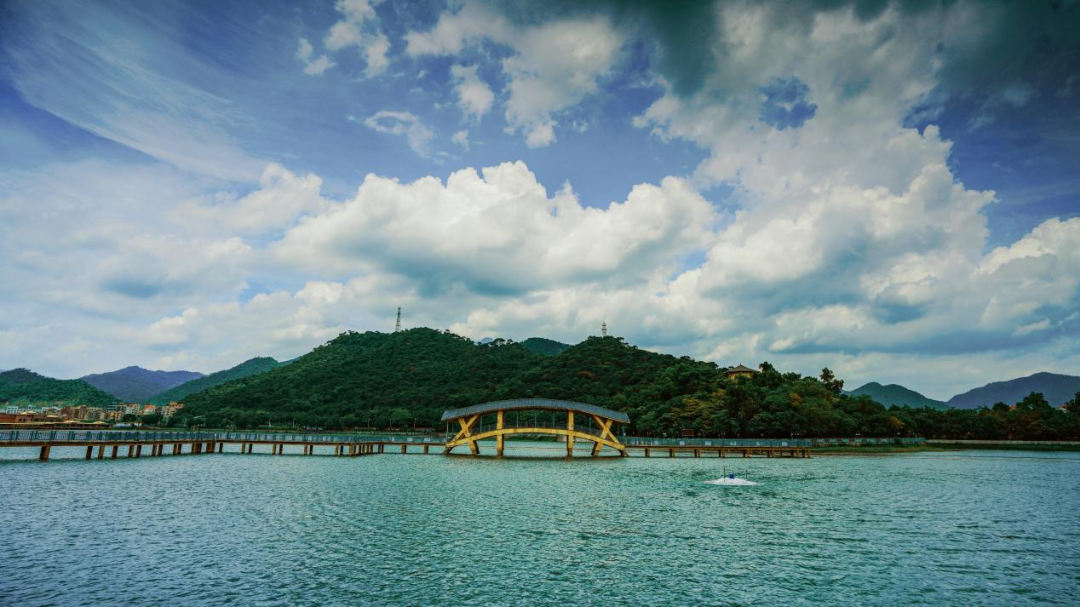 鼎湖山顶