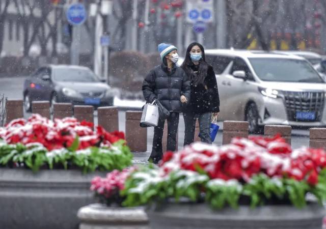 12日,新疆乌鲁木齐市迎来龙年首场降雪。 12日,新疆乌鲁木齐市迎来龙年首场降雪。