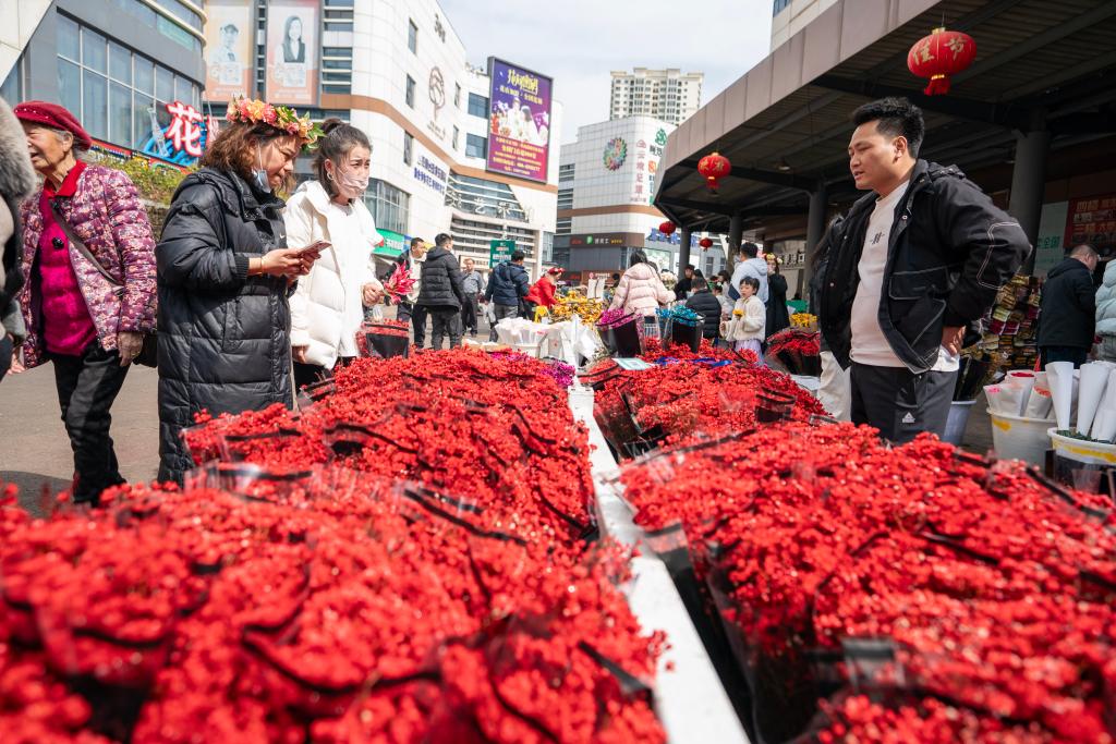 2024年2月12日，游客在昆明斗南花卉市场内询价买花。新华社记者 陈欣波 摄