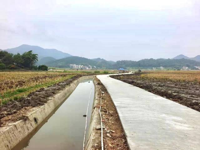 罗洪村高标准农田上用于排涝的主渠，宽3米，深1.5米，总长度700多米  