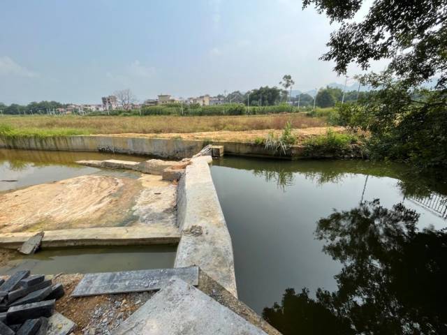 村子在修筑灌排渠道的同时，在渠道不同节点修筑小水坝，既能蓄水又能灌溉，目前已修筑6个小水坝，干净的水质为鱼等动物提供了生息的场所。  