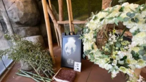 旅美大熊猫“乐乐”死因公布!中动协通报→ 旅美大熊猫“乐乐”死因公布!中动协通报→