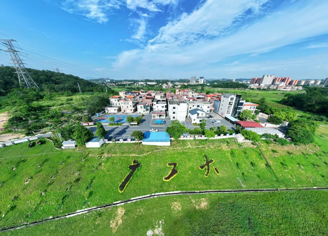 清远市清城区石角镇黄布村：从“外在美”到“内涵美”的华丽蝶变丨全国文明村镇