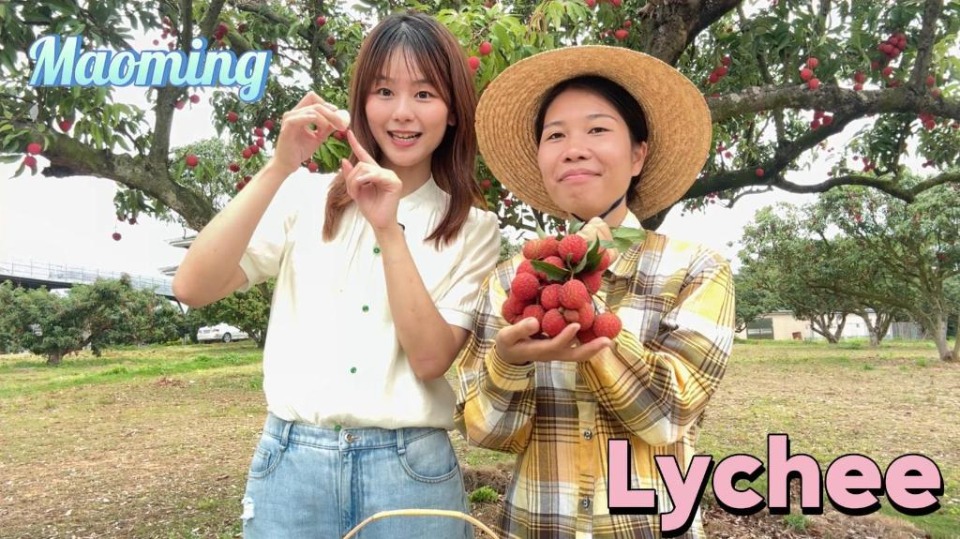 Vlog | Made Here: From farm to future, how sweet business transforms in "hometown of lychees"