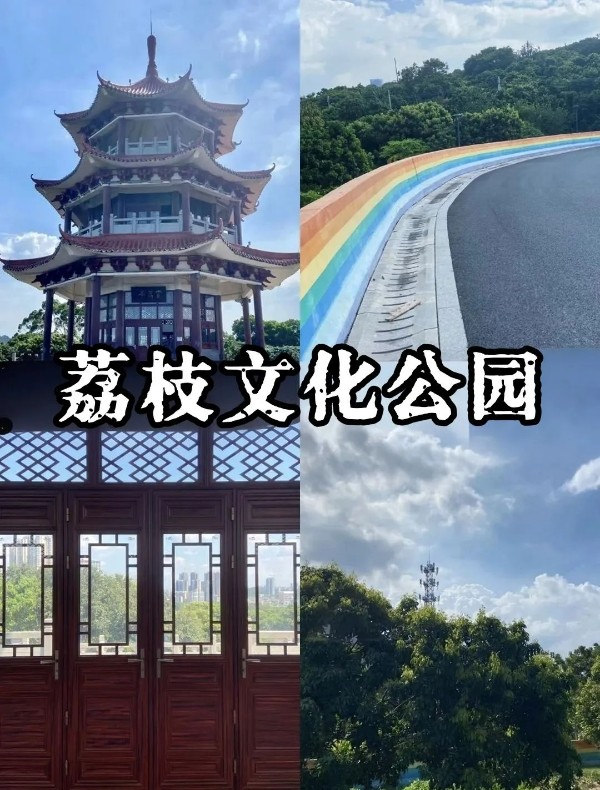 (图源:小红书)