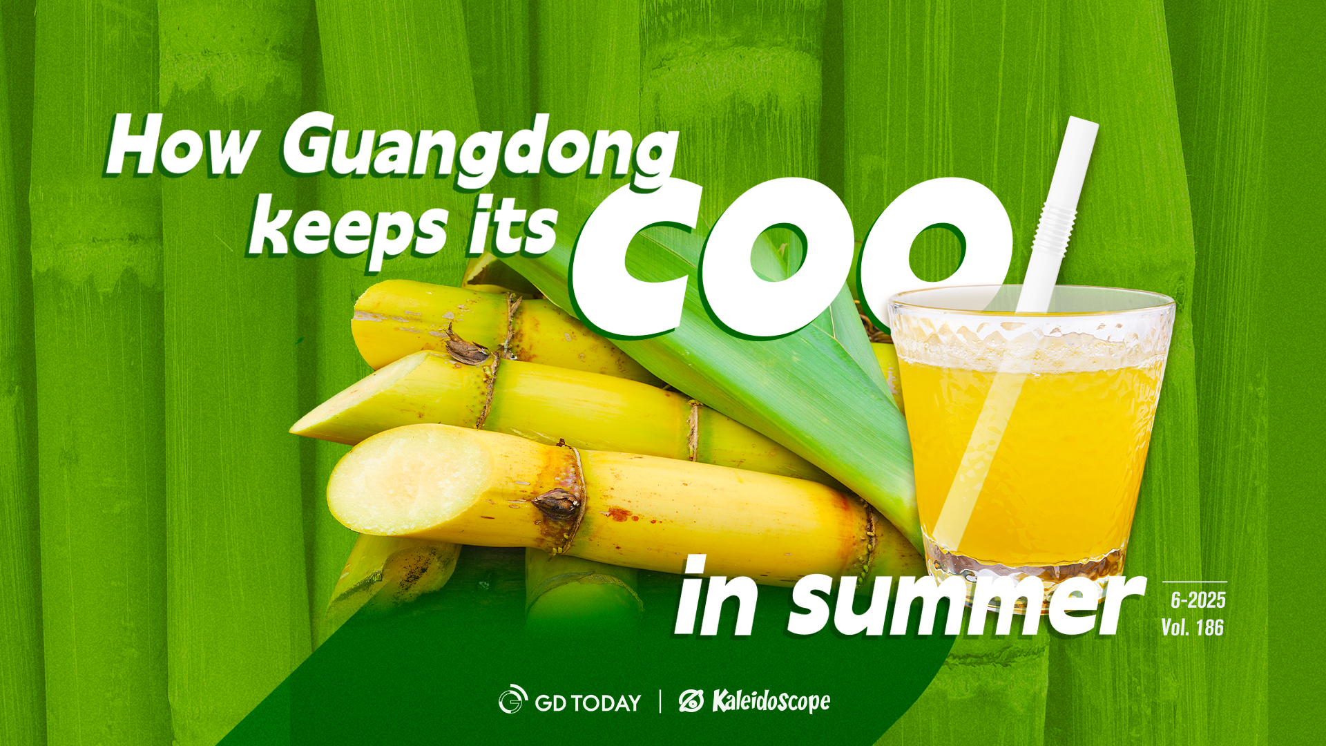 How Guangdong keeps its cool in summer