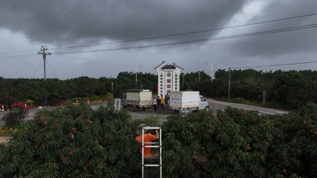 台风“蝴蝶”已于23时前后在海南省东方市八所镇登陆