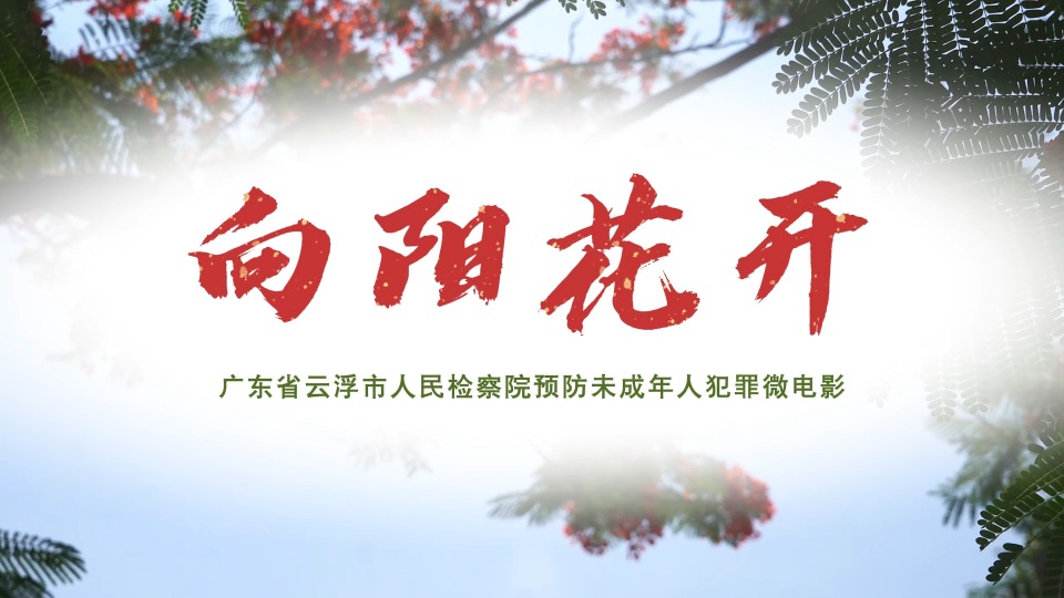 微电影 | 向阳花开