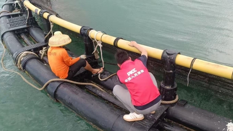 台风没到，143万元赔款先到了！“蝴蝶”首笔海洋牧场保险完成赔付