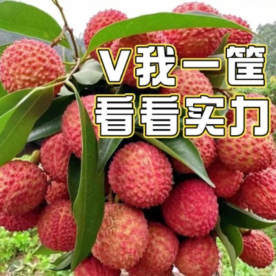 (图源:网络)