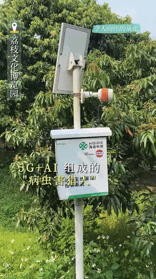 (图源:广州从化发布)