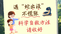 遇“蛇出没”不慌张,科学自救方法请收好|安全贴心话 遇“蛇出没”不慌张,科学自救方法请收好|安全贴心话