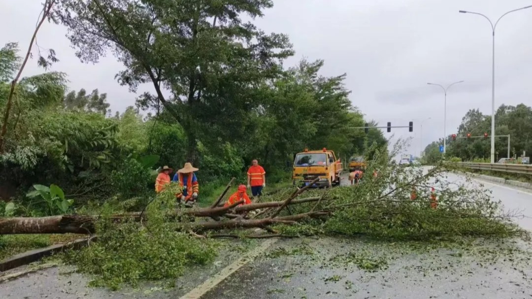 台风“摩羯”过境，广东交通全力以“复”→