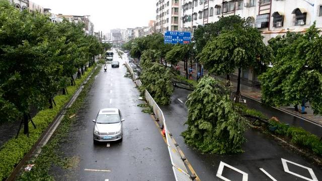 刚刚！湛江客运班车、公共交通恢复运营，防风Ⅰ级应急响应降为Ⅱ级