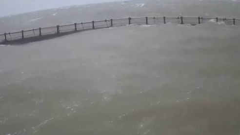 湛江人保财险首单现代化海洋牧场保险预赔360万