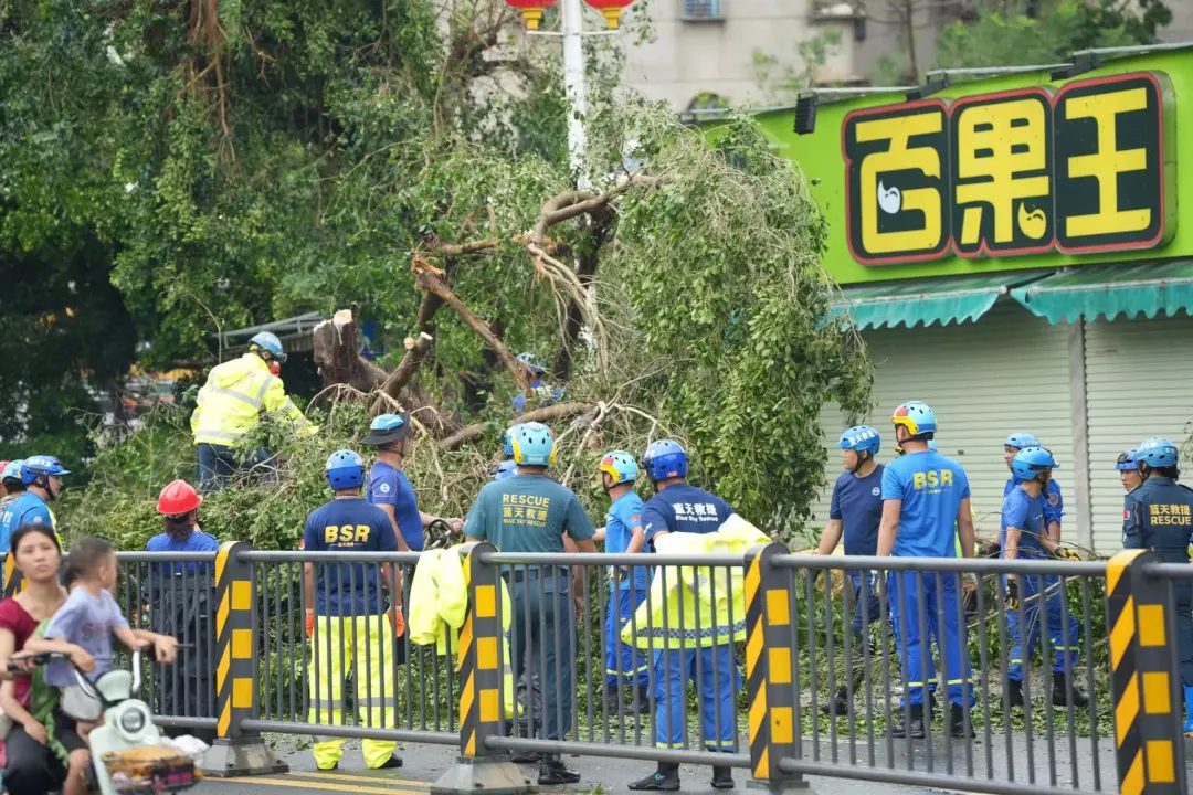 湛江：截至7日早晨，人员零伤亡，无房屋倒塌