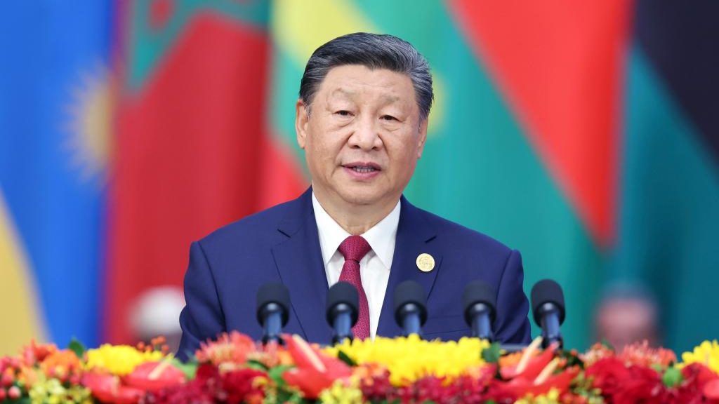 Xi Focus: Xi proposes partnership actions to jointly advance modernization with Africa